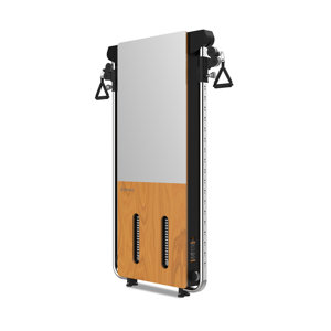 SH-G699 SH-G699 壁挂式拉绳训练器